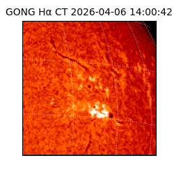 gong - 2026-04-06T14:00:42