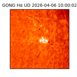 gong - 2026-04-06T10:00:02