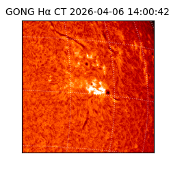 gong - 2026-04-06T14:00:42