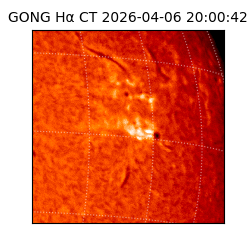 gong - 2026-04-06T20:00:42