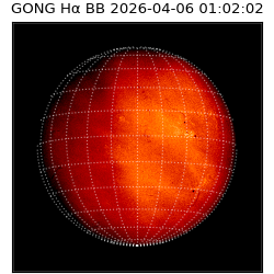 gong - 2026-04-06T01:02:02