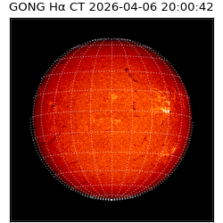 gong - 2026-04-06T20:00:42