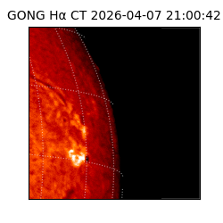 gong - 2026-04-07T21:00:42