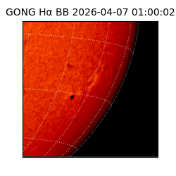 gong - 2026-04-07T01:00:02