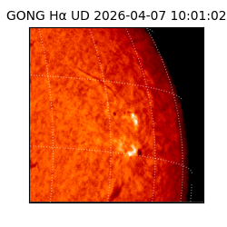 gong - 2026-04-07T10:01:02