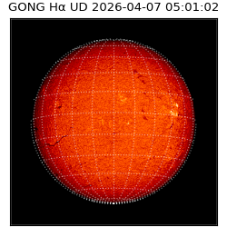 gong - 2026-04-07T05:01:02