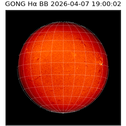 gong - 2026-04-07T19:00:02