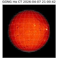 gong - 2026-04-07T21:00:42