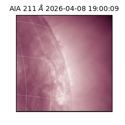 saia - 2026-04-08T19:00:09.624000