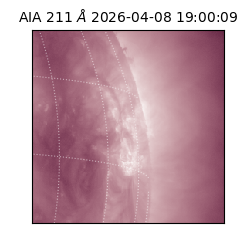 saia - 2026-04-08T19:00:09.624000