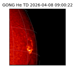 gong - 2026-04-08T09:00:22