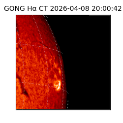 gong - 2026-04-08T20:00:42