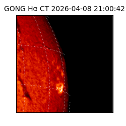 gong - 2026-04-08T21:00:42