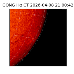 gong - 2026-04-08T21:00:42