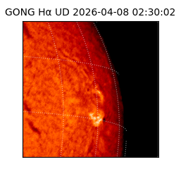gong - 2026-04-08T02:30:02