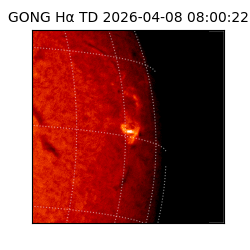 gong - 2026-04-08T08:00:22