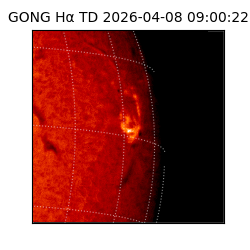 gong - 2026-04-08T09:00:22