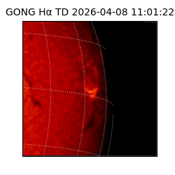 gong - 2026-04-08T11:01:22