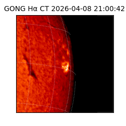 gong - 2026-04-08T21:00:42