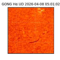 gong - 2026-04-08T05:01:02