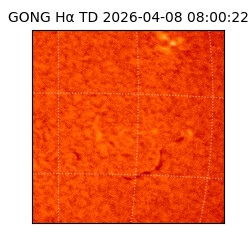 gong - 2026-04-08T08:00:22