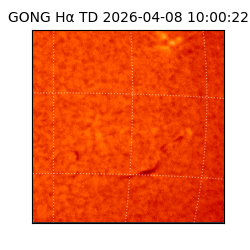 gong - 2026-04-08T10:00:22