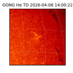 gong - 2026-04-08T14:00:22