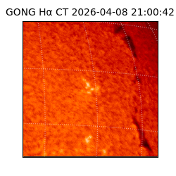 gong - 2026-04-08T21:00:42