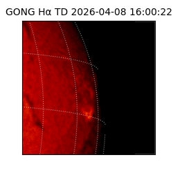 gong - 2026-04-08T16:00:22