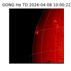 gong - 2026-04-08T10:00:22