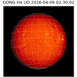 gong - 2026-04-08T02:30:02