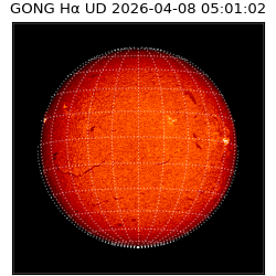 gong - 2026-04-08T05:01:02