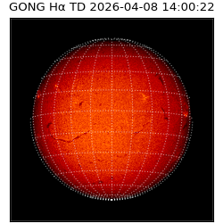 gong - 2026-04-08T14:00:22