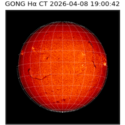 gong - 2026-04-08T19:00:42