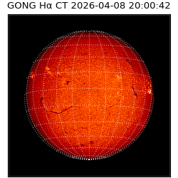 gong - 2026-04-08T20:00:42