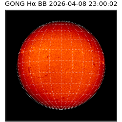 gong - 2026-04-08T23:00:02