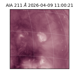 saia - 2026-04-09T11:00:21.620000