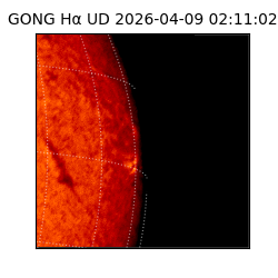 gong - 2026-04-09T02:11:02
