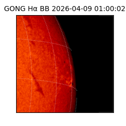 gong - 2026-04-09T01:00:02