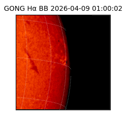 gong - 2026-04-09T01:00:02