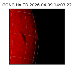 gong - 2026-04-09T14:03:22