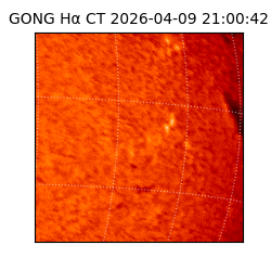 gong - 2026-04-09T21:00:42