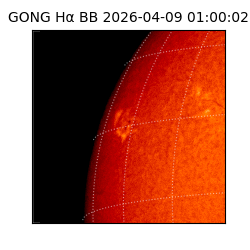 gong - 2026-04-09T01:00:02