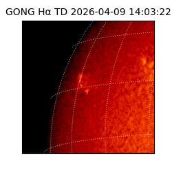 gong - 2026-04-09T14:03:22