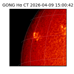 gong - 2026-04-09T15:00:42