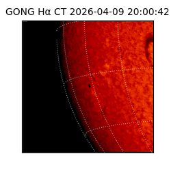 gong - 2026-04-09T20:00:42