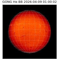 gong - 2026-04-09T01:00:02