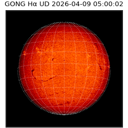 gong - 2026-04-09T05:00:02