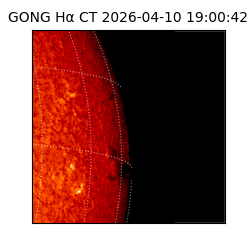 gong - 2026-04-10T19:00:42