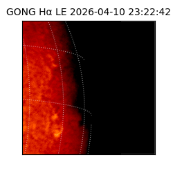 gong - 2026-04-10T23:22:42